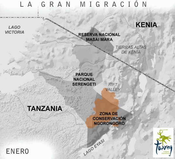 Tanzania. El Gran Espectáculo de la Migración 2014 // Joan Vidal