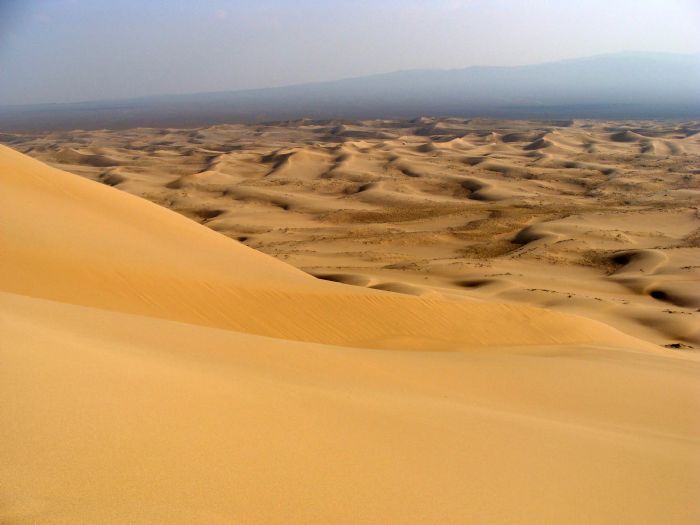 Desierto de Gobi y Estepa Central. Foto Teresa Rost