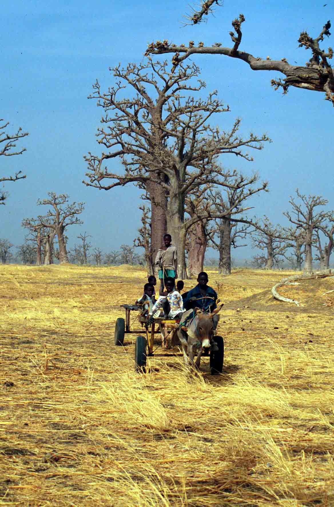 Viajes a Senegal