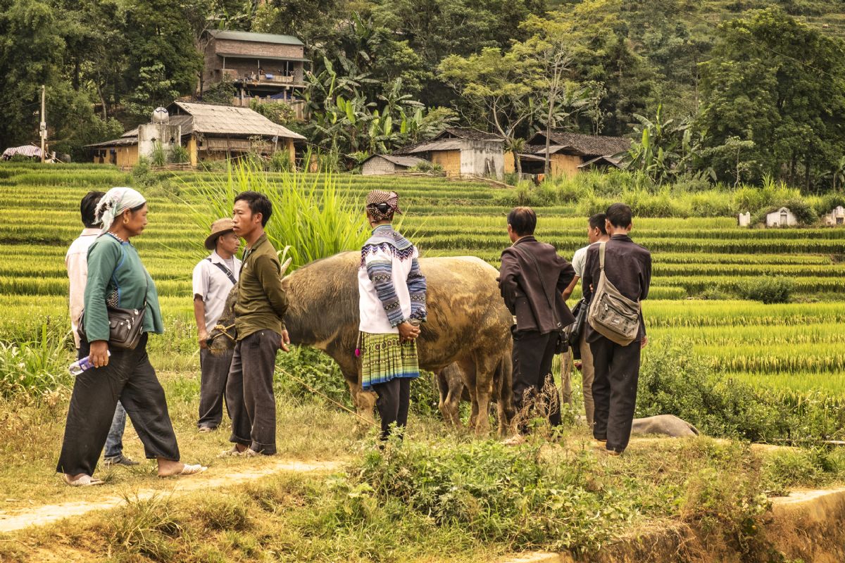 Vietnam de norte a sur con Sapa, Mekong y Angkor. Foto Ignasi Rovira