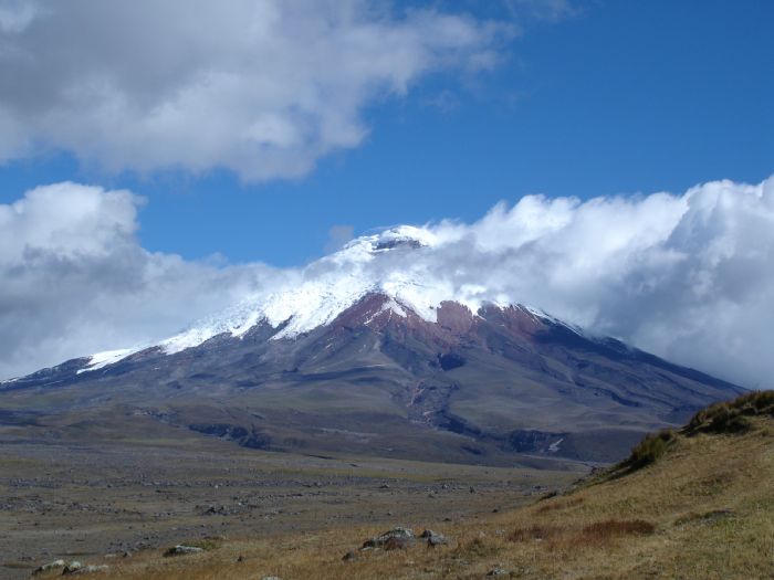 Clic para visitar la ficha de este programa Ecuador: Andes, Reserva de Machalilla y Amazonas.