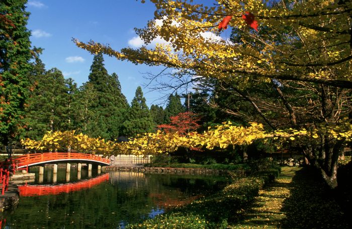 Japón - Isla de Honshu. Tokio, Kyoto y Monte Fuji