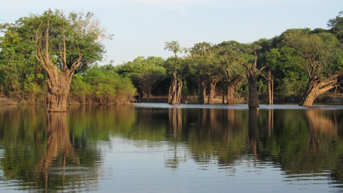 Brasil - Amazonas, Pantanal, Salvador y  Boipeba