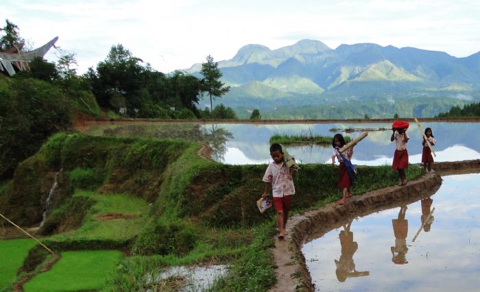 Indonesia - Borneo, Java, Sulawesi y Bali