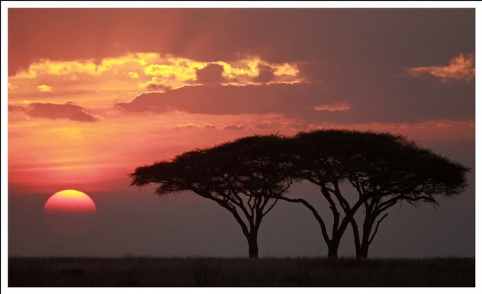 Kenya y Tanzania - El sueño de África