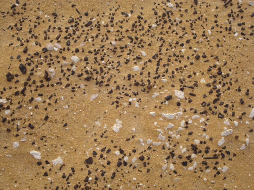Egipto - Senderismo en el Desierto Blanco.