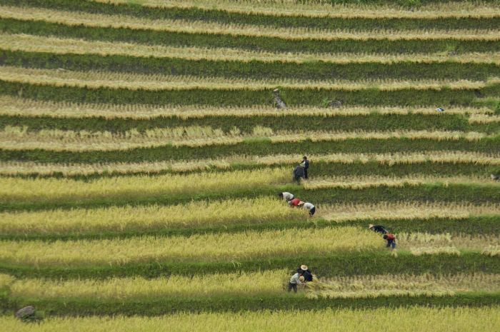 Vietnam y Camboya - Vietnam de norte a sur, el Mekong y Angkor