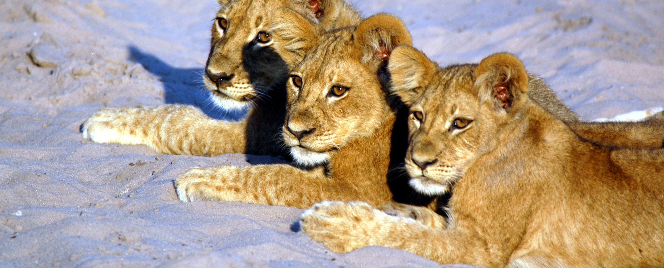 Botswana