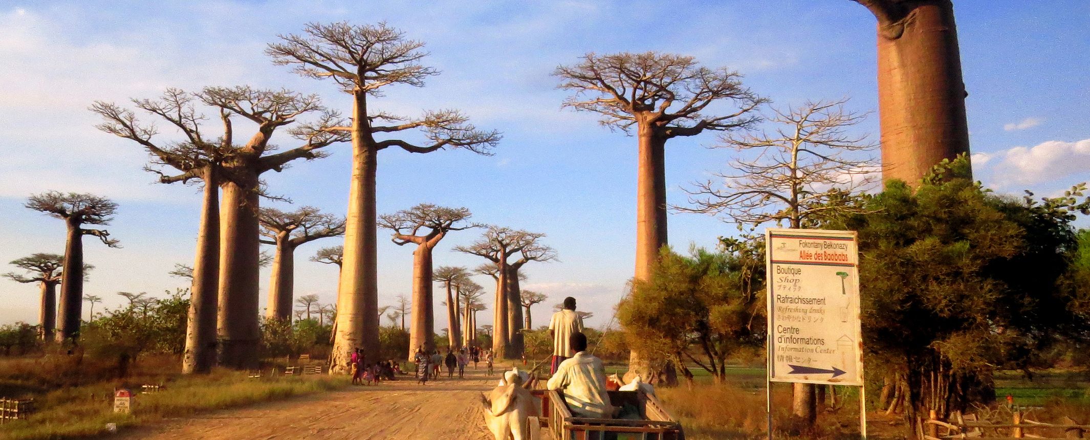 Madagascar