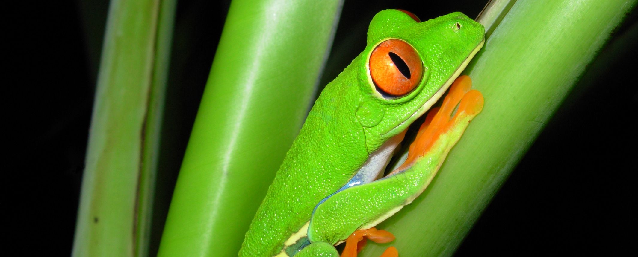 Costa Rica