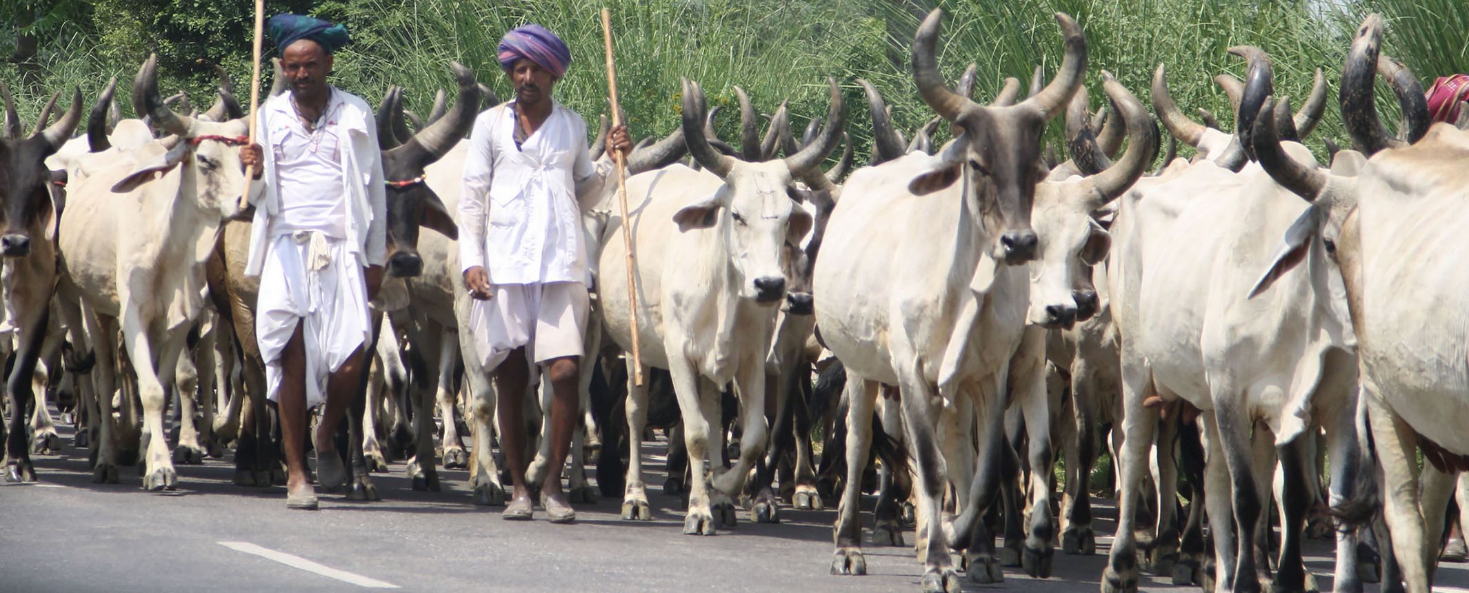 India