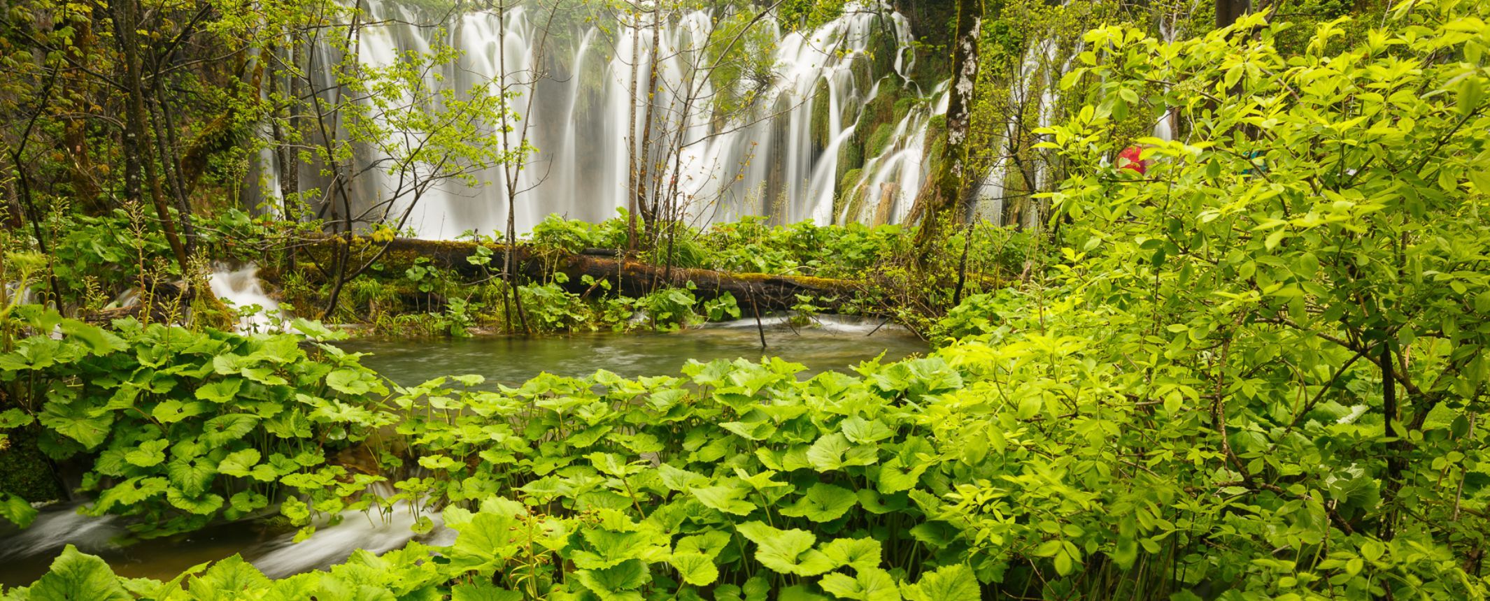 Croacia