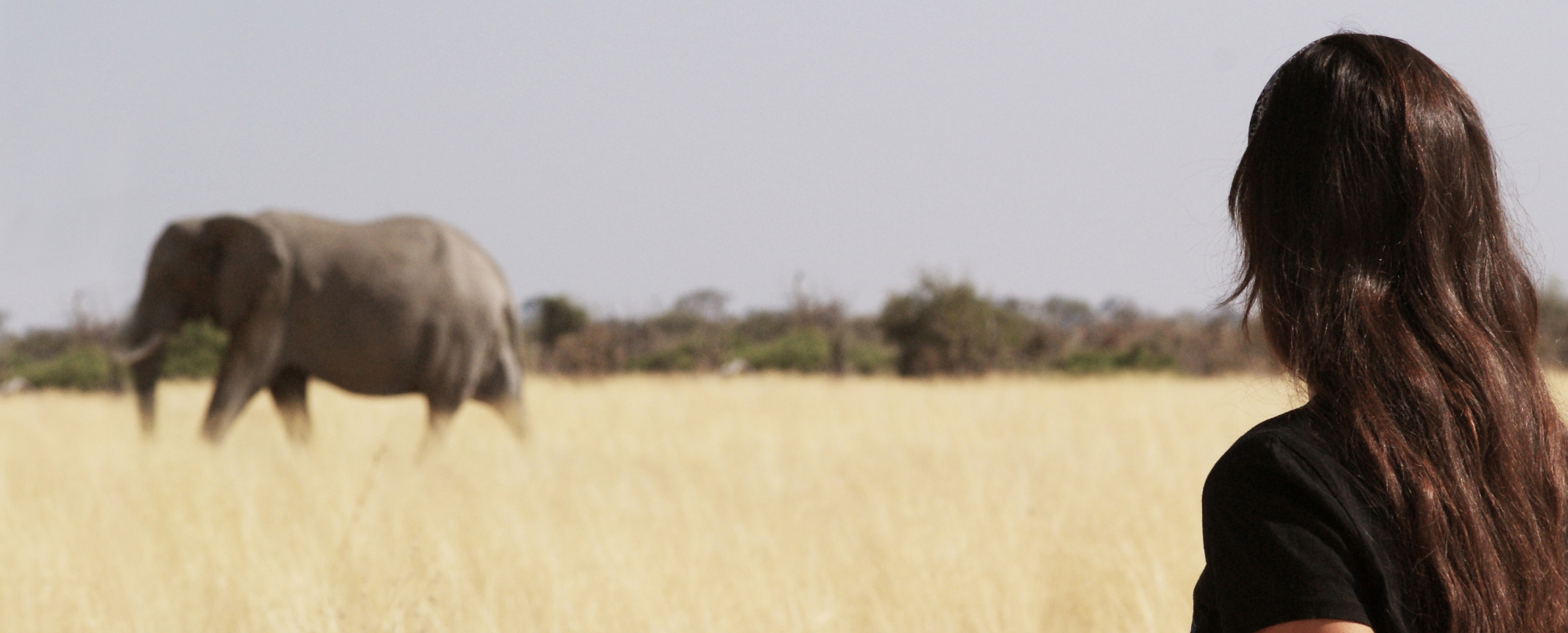 Cape Town, Namibia, Botswana y Vic Falls