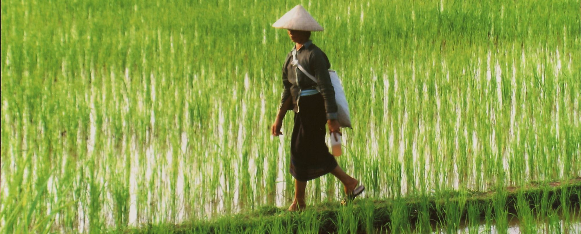 Laos y Camboya