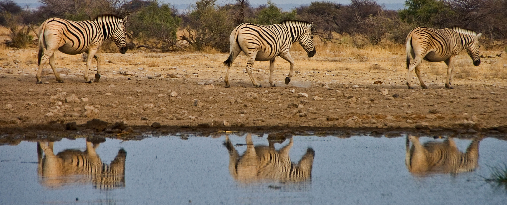 Namibia