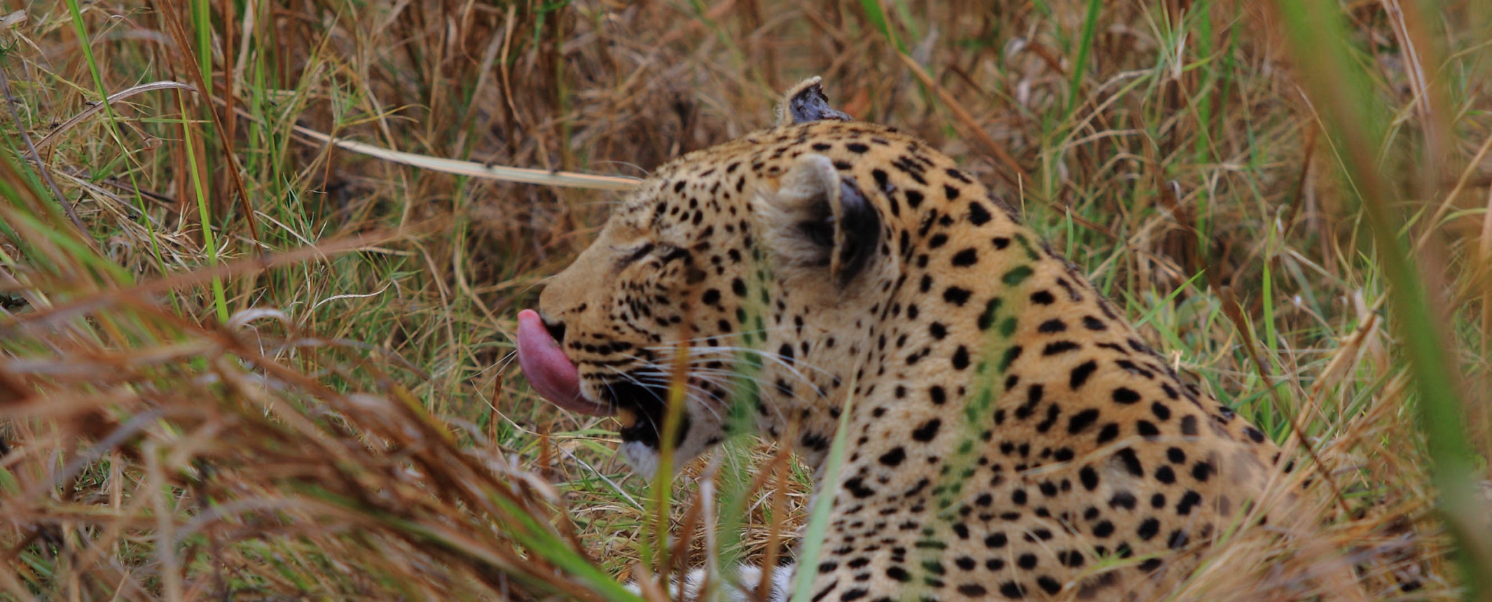 Botswana & Cataratas Victoria