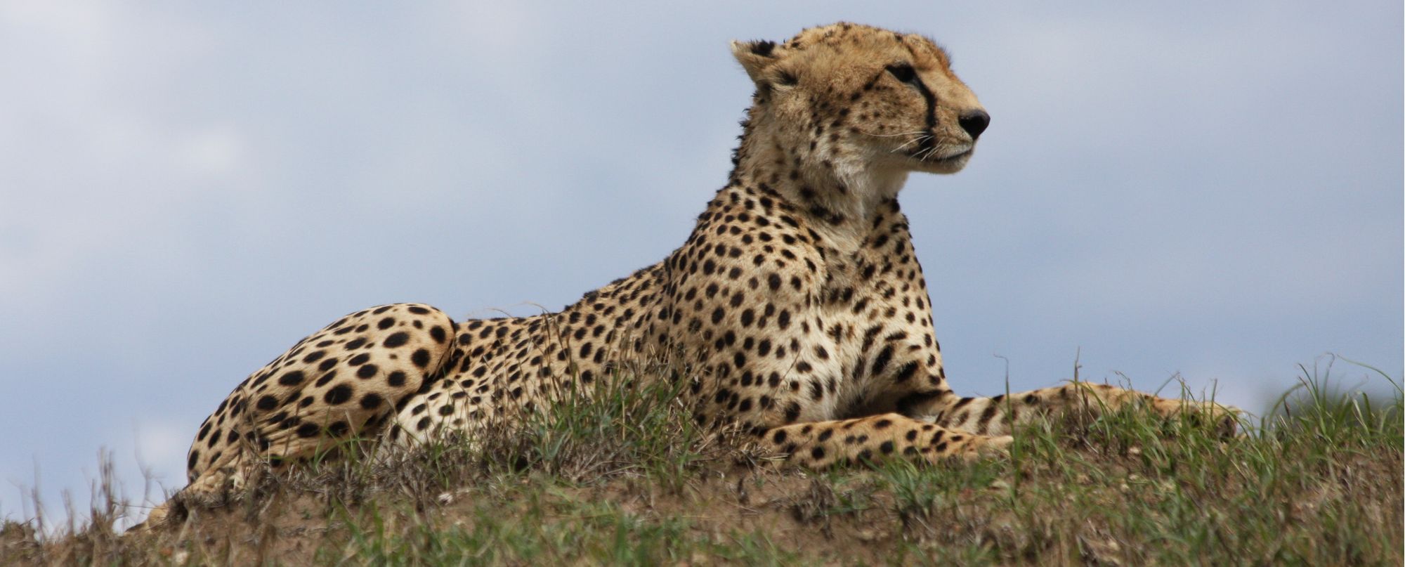 Tanzania