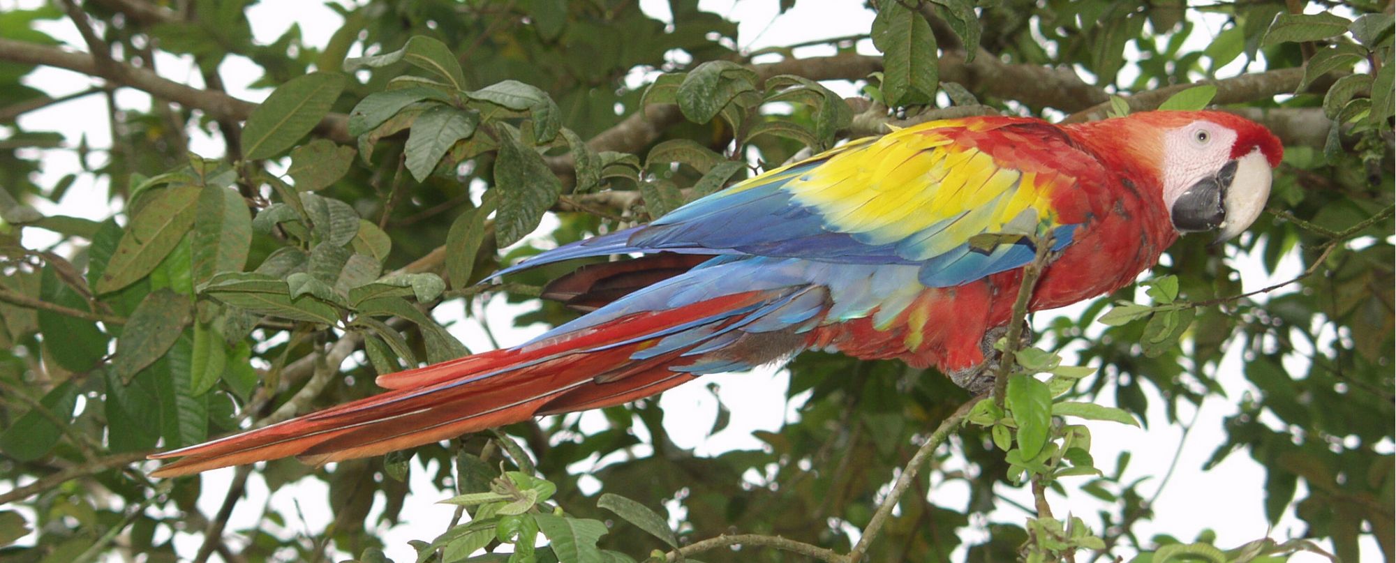 Costa Rica