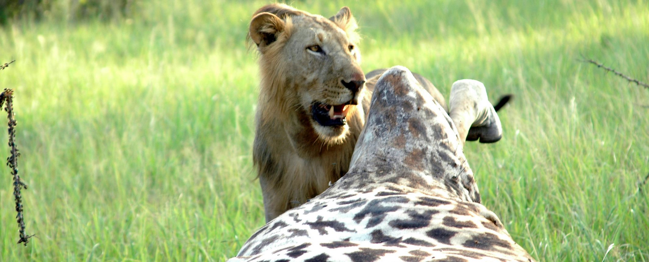Tanzania