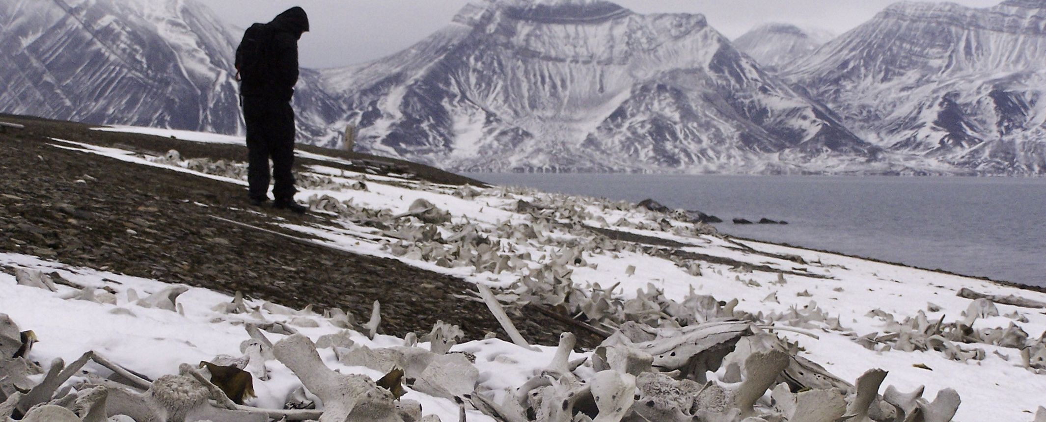 Islas Svalbard